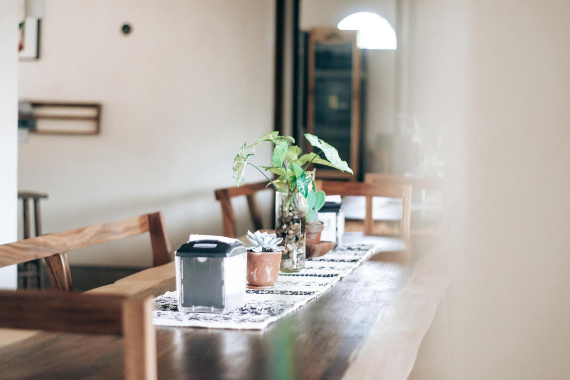 Caracola Boutique Hostel El Paredon Buena Vista ภายนอก รูปภาพ