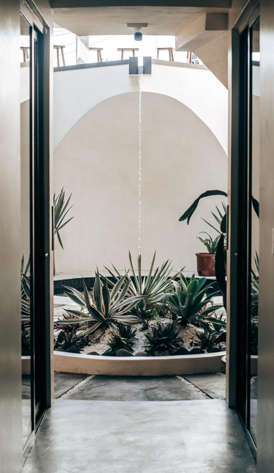Caracola Boutique Hostel El Paredon Buena Vista ภายนอก รูปภาพ