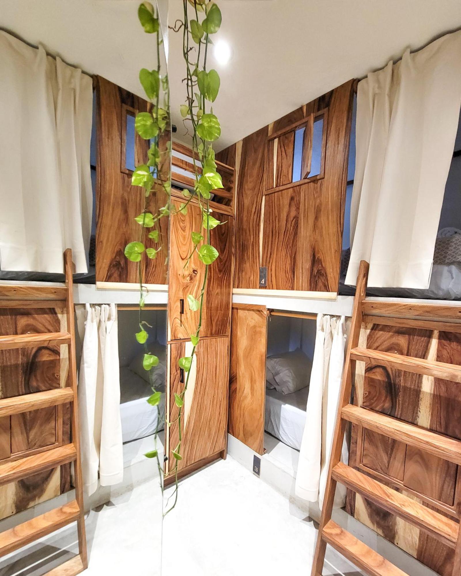 Caracola Boutique Hostel El Paredon Buena Vista ภายนอก รูปภาพ